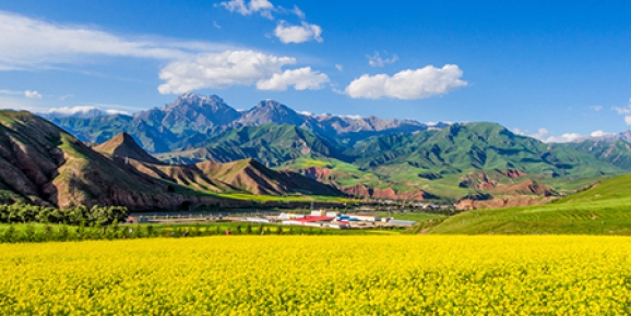 對(duì)催化燃燒法處理有機(jī)廢氣的影響